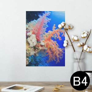 |X^[ EH[XebJ[ V[XebJ[  257×364mm B4 ʐ^ tHg  CeA   wall sticker poster 003341 C@ʐ^@iF@i