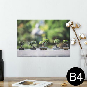 |X^[ EH[XebJ[ V[XebJ[  257×364mm B4 ʐ^ tHg  CeA   wall sticker poster 023001 ~́@A@ʐ^