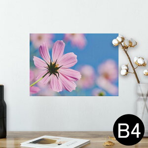 |X^[ EH[XebJ[ V[XebJ[  257×364mm B4 ʐ^ tHg  CeA   wall sticker poster 023169 ԁ@t[@RXX