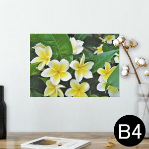 |X^[ EH[XebJ[ V[XebJ[  257×364mm B4 ʐ^ tHg  CeA   wall sticker poster 023320 ԁ@t[@vA