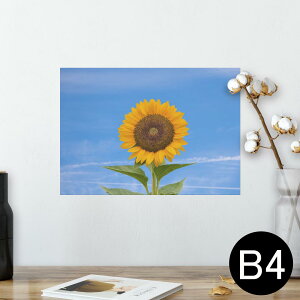 |X^[ EH[XebJ[ V[XebJ[  257×364mm B4 ʐ^ tHg  CeA   wall sticker poster 023365 ԁ@t[@Ђ܂@ʐ^