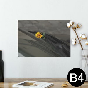 |X^[ EH[XebJ[ V[XebJ[  257×364mm B4 ʐ^ tHg  CeA   wall sticker poster 023374 ԁ@t[@ʐ^