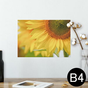 |X^[ EH[XebJ[ V[XebJ[  257×364mm B4 ʐ^ tHg  CeA   wall sticker poster 023602 ԁ@t[@Ђ܂