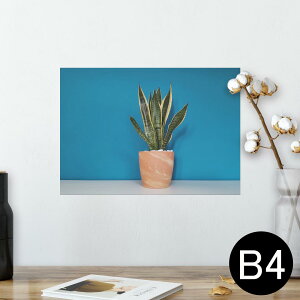 |X^[ EH[XebJ[ V[XebJ[  257×364mm B4 ʐ^ tHg  CeA   wall sticker poster 023685 A@A