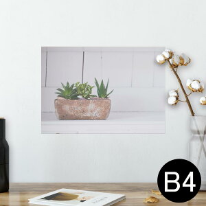 |X^[ EH[XebJ[ V[XebJ[  257×364mm B4 ʐ^ tHg  CeA   wall sticker poster 023734 A@Aؔ@ʐ^