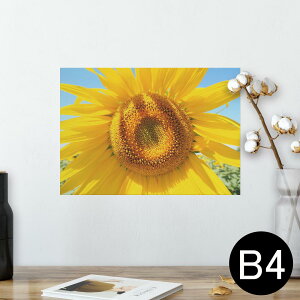 |X^[ EH[XebJ[ V[XebJ[  257×364mm B4 ʐ^ tHg  CeA   wall sticker poster 023849 ԁ@t[@Ђ܂