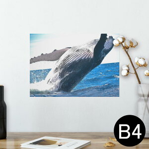 |X^[ EH[XebJ[ V[XebJ[  257×364mm B4 ʐ^ tHg  CeA   wall sticker poster 023966 @ʐ^@C