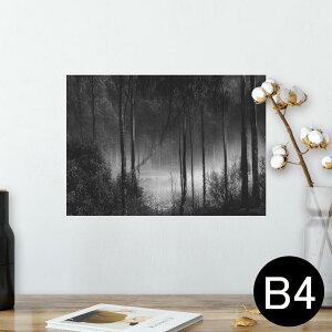 |X^[ EH[XebJ[ V[XebJ[  257×364mm B4 ʐ^ tHg  CeA   wall sticker poster 025587 Xс@mN@