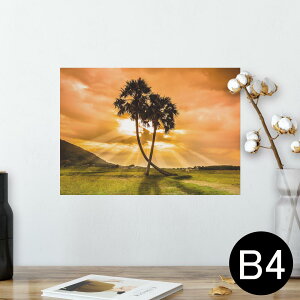 |X^[ EH[XebJ[ V[XebJ[  257×364mm B4 ʐ^ tHg  CeA   wall sticker poster 025622 V̖؁@v@R@iF