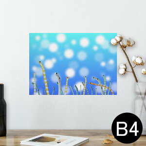 |X^[ EH[XebJ[ V[XebJ[  257×364mm B4 ʐ^ tHg  CeA   wall sticker poster 025640 `AiS@C@