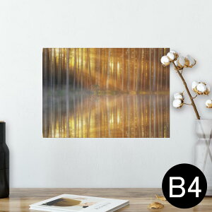 |X^[ EH[XebJ[ V[XebJ[  257×364mm B4 ʐ^ tHg  CeA   wall sticker poster 025679 Xс@R@
