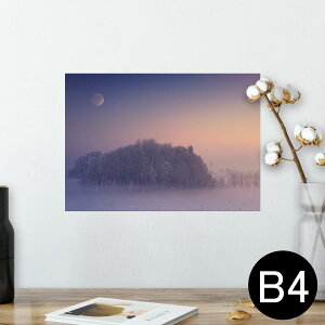 |X^[ EH[XebJ[ V[XebJ[  257×364mm B4 ʐ^ tHg  CeA   wall sticker poster 025683 R@i@@؁@