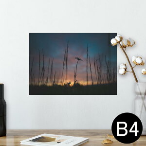 |X^[ EH[XebJ[ V[XebJ[  257×364mm B4 ʐ^ tHg  CeA   wall sticker poster 025684 i@R@