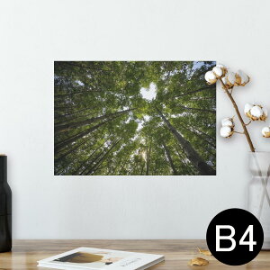 |X^[ EH[XebJ[ V[XebJ[  257×364mm B4 ʐ^ tHg  CeA   wall sticker poster 025739 R@Xс@؁@n[g