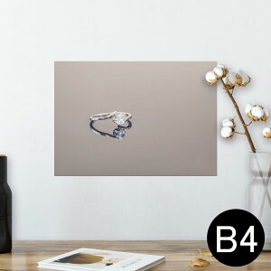 |X^[ EH[XebJ[ V[XebJ[  257×364mm B4 ʐ^ tHg  CeA   wall sticker poster 025750 wց@WG[@t@bV