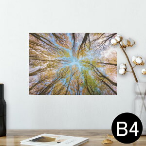 |X^[ EH[XebJ[ V[XebJ[  257×364mm B4 ʐ^ tHg  CeA   wall sticker poster 025927 Xс@؁@R