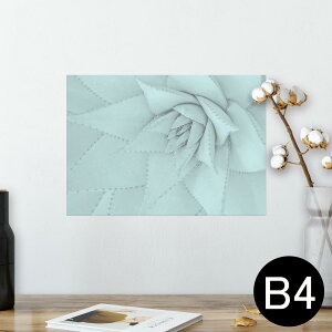 ポスター ウォールステッカー シール式ステッカー 飾り 257×364mm B4 写真 フォト 壁 インテリア おしゃれ 剥がせる wall sticker poster 025929 植物 アロエ