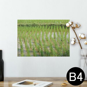 |X^[ EH[XebJ[ V[XebJ[  257×364mm B4 ʐ^ tHg  CeA   wall sticker poster 026003 cځ@cA@@i