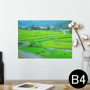 |X^[ EH[XebJ[ V[XebJ[  257×364mm B4 ʐ^ tHg  CeA   wall sticker poster 026006 @cځ@R@i