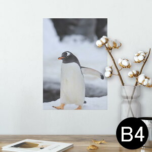 ペンギン ポスターの人気商品 通販 価格比較 価格 Com ペンギン ポスターの人気商品 通販 価格比較 価格 Com