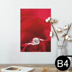 |X^[ EH[XebJ[ V[XebJ[  257×364mm B4 ʐ^ tHg  CeA   wall sticker poster 005136 ԁ@wց@KN