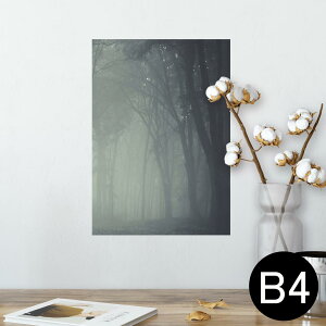|X^[ EH[XebJ[ V[XebJ[  257×364mm B4 ʐ^ tHg  CeA   wall sticker poster 005899 ʐ^@X@