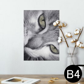 楽天市場 ポスター モノクロ 猫の通販