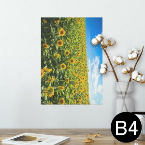 |X^[ EH[XebJ[ V[XebJ[  257×364mm B4 ʐ^ tHg  CeA   wall sticker poster 007936 ʐ^@ԁ@@@Ђ܂