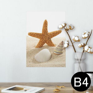 |X^[ EH[XebJ[ V[XebJ[  257×364mm B4 ʐ^ tHg  CeA   wall sticker poster 009536 Lk@C@ʐ^