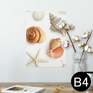 |X^[ EH[XebJ[ V[XebJ[  257×364mm B4 ʐ^ tHg  CeA   wall sticker poster 009662 Lk@C@l
