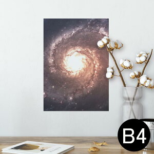 |X^[ EH[XebJ[ V[XebJ[  257×364mm B4 ʐ^ tHg  CeA   wall sticker poster 010185 @F@i
