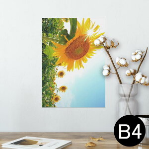 |X^[ EH[XebJ[ V[XebJ[  257×364mm B4 ʐ^ tHg  CeA   wall sticker poster 011440 ԁ@Ђ܂@ʐ^