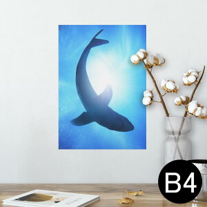|X^[ EH[XebJ[ V[XebJ[  257×364mm B4 ʐ^ tHg  CeA   wall sticker poster 012652 @@C