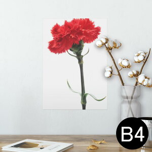 |X^[ EH[XebJ[ V[XebJ[  257×364mm B4 ʐ^ tHg  CeA   wall sticker poster 012928 ̓@J[l[V@