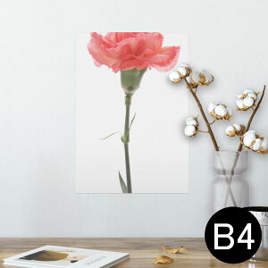 |X^[ EH[XebJ[ V[XebJ[  257×364mm B4 ʐ^ tHg  CeA   wall sticker poster 012935 ̓@J[l[V@