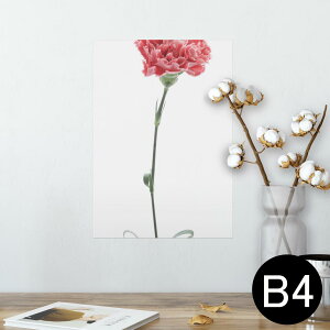 |X^[ EH[XebJ[ V[XebJ[  257×364mm B4 ʐ^ tHg  CeA   wall sticker poster 012937 ̓@J[l[V@