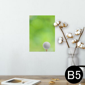 |X^[ EH[XebJ[ V[XebJ[  182×257mm B5 ʐ^ tHg  CeA  @ wall sticker poster 000218 St@Vbg@Ő