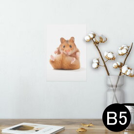 ポスター ウォールステッカー シール式ステッカー 飾り 182×257mm B5 写真 フォト 壁 インテリア おしゃれ 　剥がせる wall sticker poster 001075 ハムスター　動物