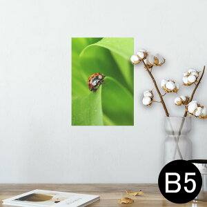|X^[ EH[XebJ[ V[XebJ[  182×257mm B5 ʐ^ tHg  CeA  @ wall sticker poster 001144 ĂƂ@
