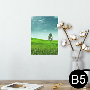 |X^[ EH[XebJ[ V[XebJ[  182×257mm B5 ʐ^ tHg  CeA  @ wall sticker poster 002526 iF@i@ʐ^