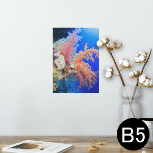 |X^[ EH[XebJ[ V[XebJ[  182×257mm B5 ʐ^ tHg  CeA  @ wall sticker poster 003341 C@ʐ^@iF@i