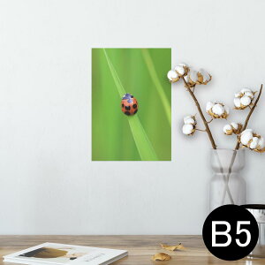 |X^[ EH[XebJ[ V[XebJ[  182×257mm B5 ʐ^ tHg  CeA  @ wall sticker poster 003604 ĂƂ@ʐ^