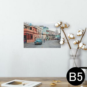 |X^[ EH[XebJ[ V[XebJ[  182×257mm B5 ʐ^ tHg  CeA   wall sticker poster 023179 i@ԁ@Jt