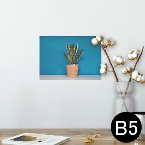 |X^[ EH[XebJ[ V[XebJ[  182×257mm B5 ʐ^ tHg  CeA   wall sticker poster 023685 A@A