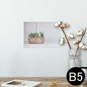 |X^[ EH[XebJ[ V[XebJ[  182×257mm B5 ʐ^ tHg  CeA   wall sticker poster 023734 A@Aؔ@ʐ^