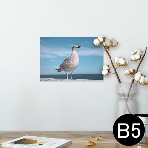 |X^[ EH[XebJ[ V[XebJ[  182×257mm B5 ʐ^ tHg  CeA   wall sticker poster 023778 @J@