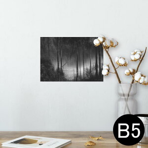 |X^[ EH[XebJ[ V[XebJ[  182×257mm B5 ʐ^ tHg  CeA   wall sticker poster 025587 Xс@mN@