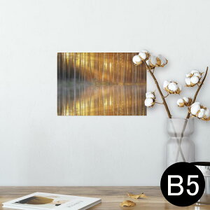 |X^[ EH[XebJ[ V[XebJ[  182×257mm B5 ʐ^ tHg  CeA   wall sticker poster 025679 Xс@R@