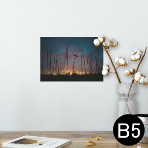 |X^[ EH[XebJ[ V[XebJ[  182×257mm B5 ʐ^ tHg  CeA   wall sticker poster 025684 i@R@