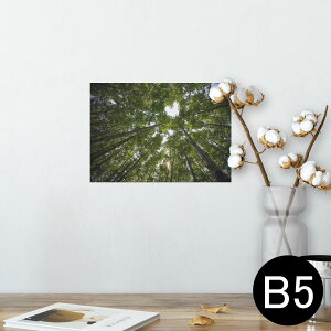 |X^[ EH[XebJ[ V[XebJ[  182×257mm B5 ʐ^ tHg  CeA   wall sticker poster 025739 R@Xс@؁@n[g
